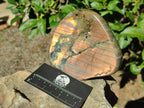 Polished Rare Orange-Gold Sunset Flash Labradorite Standing Display Pieces x 3 From Madagascar - Toprock Gemstones and Minerals 