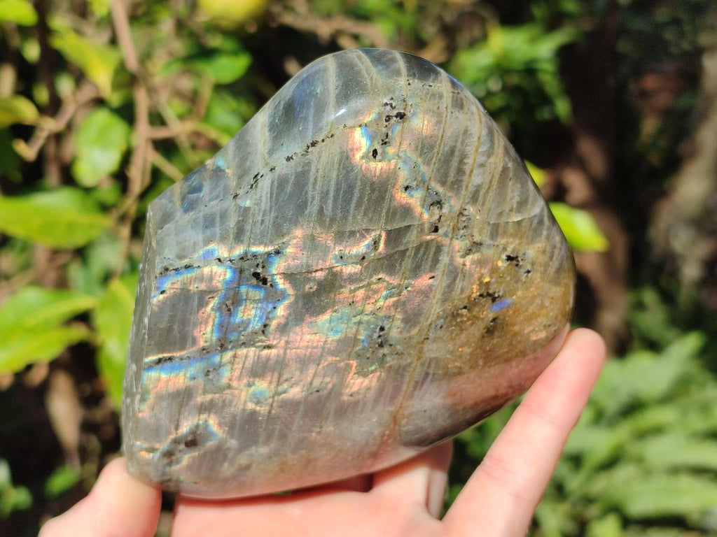 Polished Rare Orange-Gold Sunset Flash Labradorite Standing Display Pieces x 3 From Madagascar - Toprock Gemstones and Minerals 