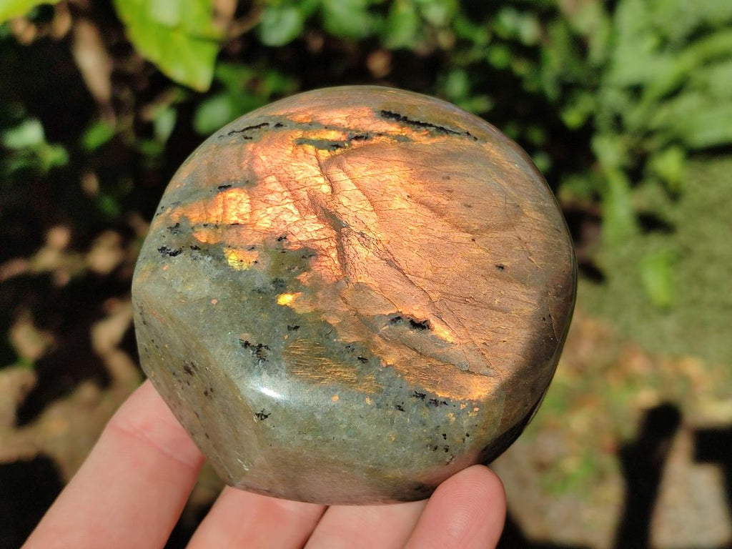 Polished Rare Orange-Gold Sunset Flash Labradorite Standing Display Pieces x 3 From Madagascar - Toprock Gemstones and Minerals 