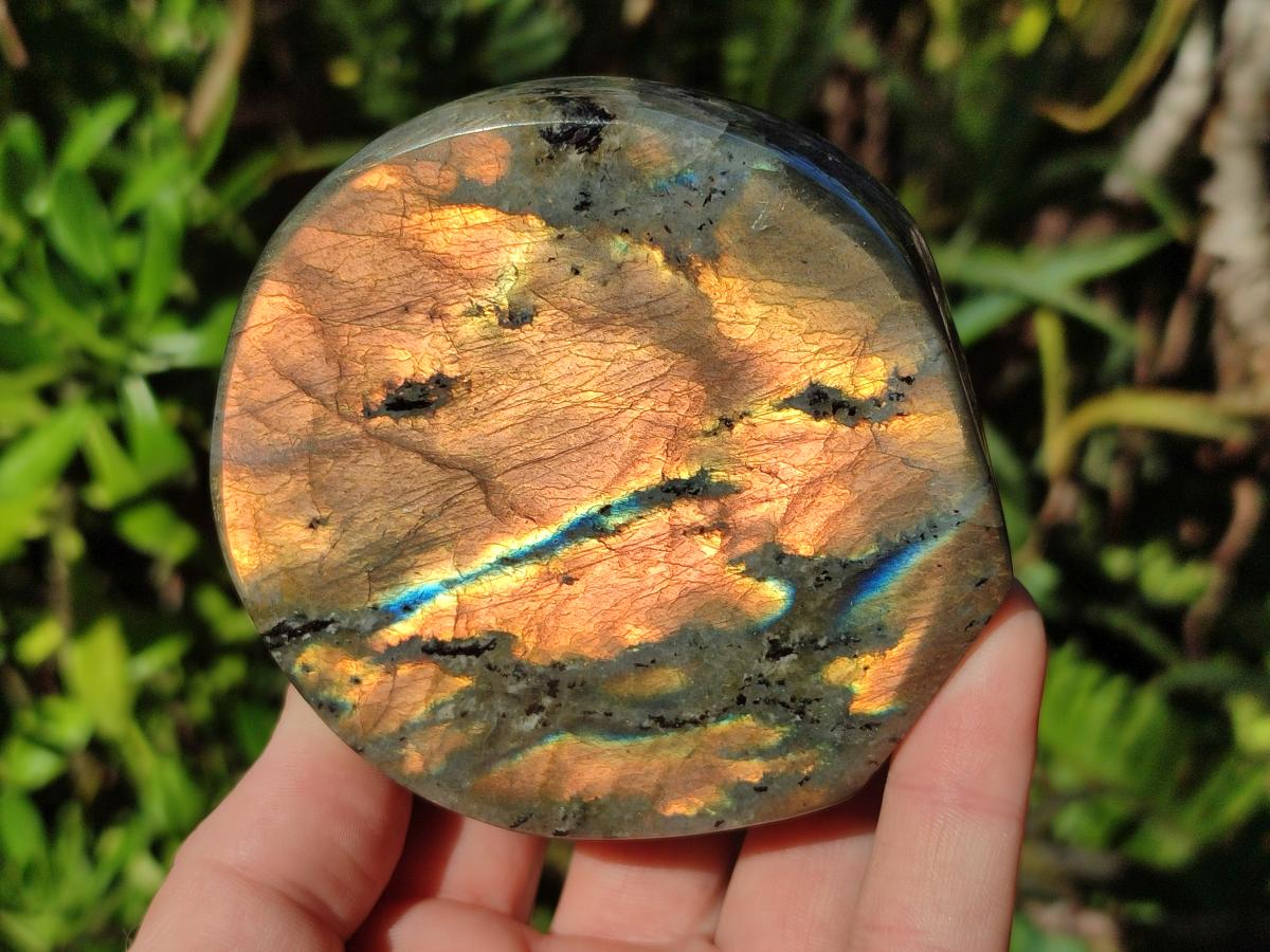 Polished Rare Orange-Gold Sunset Flash Labradorite Standing Display Pieces x 3 From Madagascar - Toprock Gemstones and Minerals 