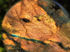 Polished Rare Orange-Gold Sunset Flash Labradorite Standing Display Pieces x 3 From Madagascar - Toprock Gemstones and Minerals 
