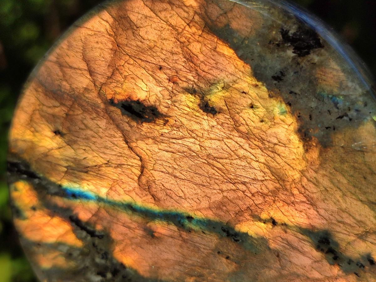 Polished Rare Orange-Gold Sunset Flash Labradorite Standing Display Pieces x 3 From Madagascar - Toprock Gemstones and Minerals 