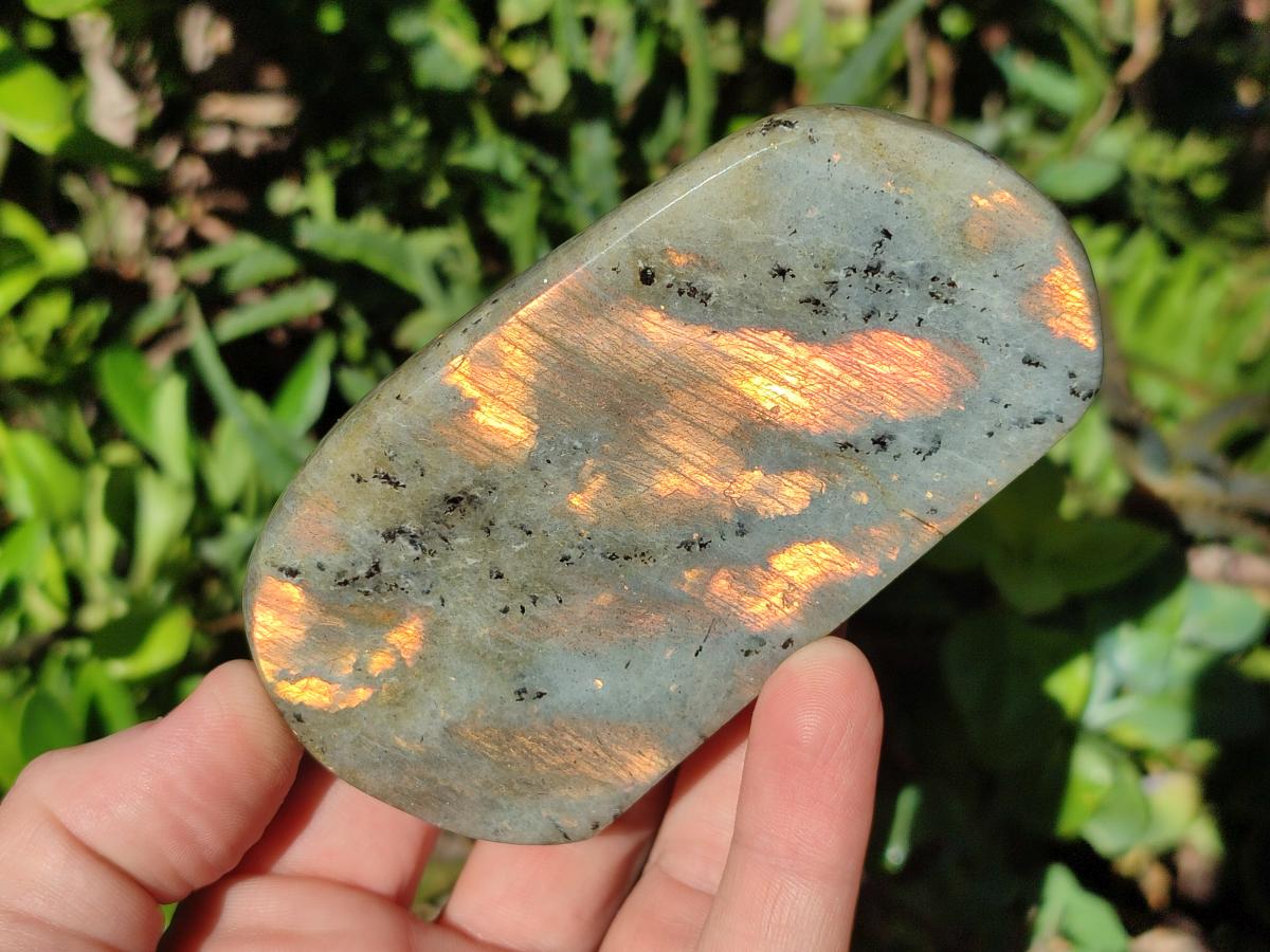 Polished Rare Orange-Gold Sunset Flash Labradorite Standing Display Pieces x 3 From Madagascar - Toprock Gemstones and Minerals 
