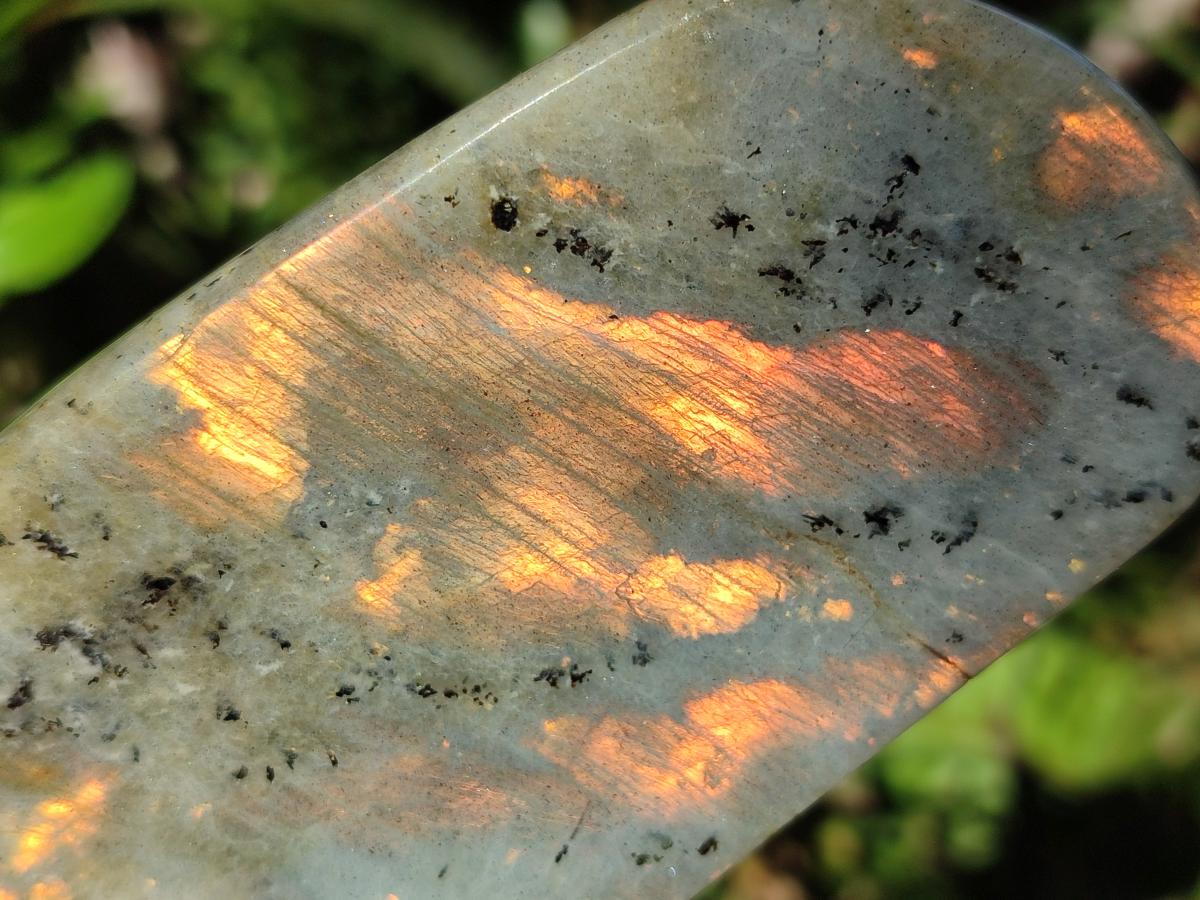 Polished Rare Orange-Gold Sunset Flash Labradorite Standing Display Pieces x 3 From Madagascar - Toprock Gemstones and Minerals 