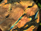 Polished Rare Orange-Gold Sunset Flash Labradorite Standing Display Pieces x 3 From Madagascar - Toprock Gemstones and Minerals 