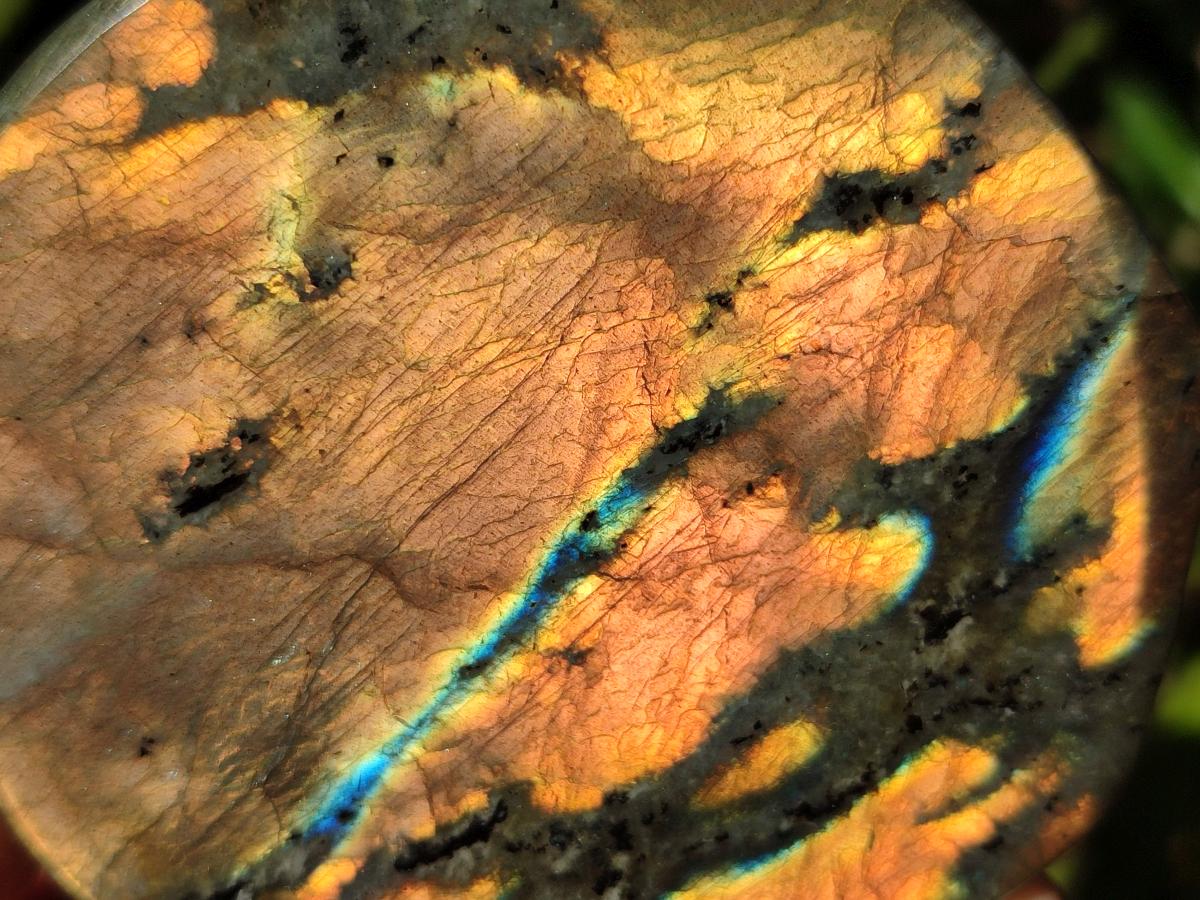 Polished Rare Orange-Gold Sunset Flash Labradorite Standing Display Pieces x 3 From Madagascar - Toprock Gemstones and Minerals 