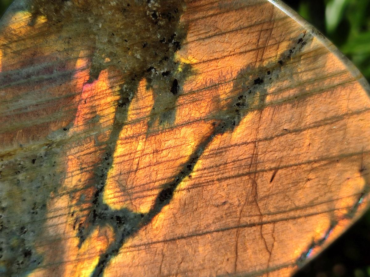 Polished Rare Orange-Gold Sunset Flash Labradorite Standing Display Pieces x 3 From Madagascar - Toprock Gemstones and Minerals 