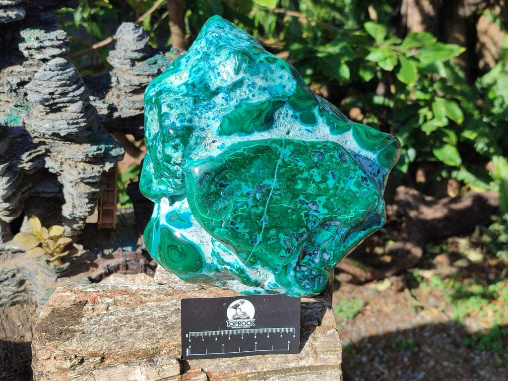 Polished XL Malacolla Free Form x 1 From Kulukuluku, Congo - Toprock Gemstones and Minerals 