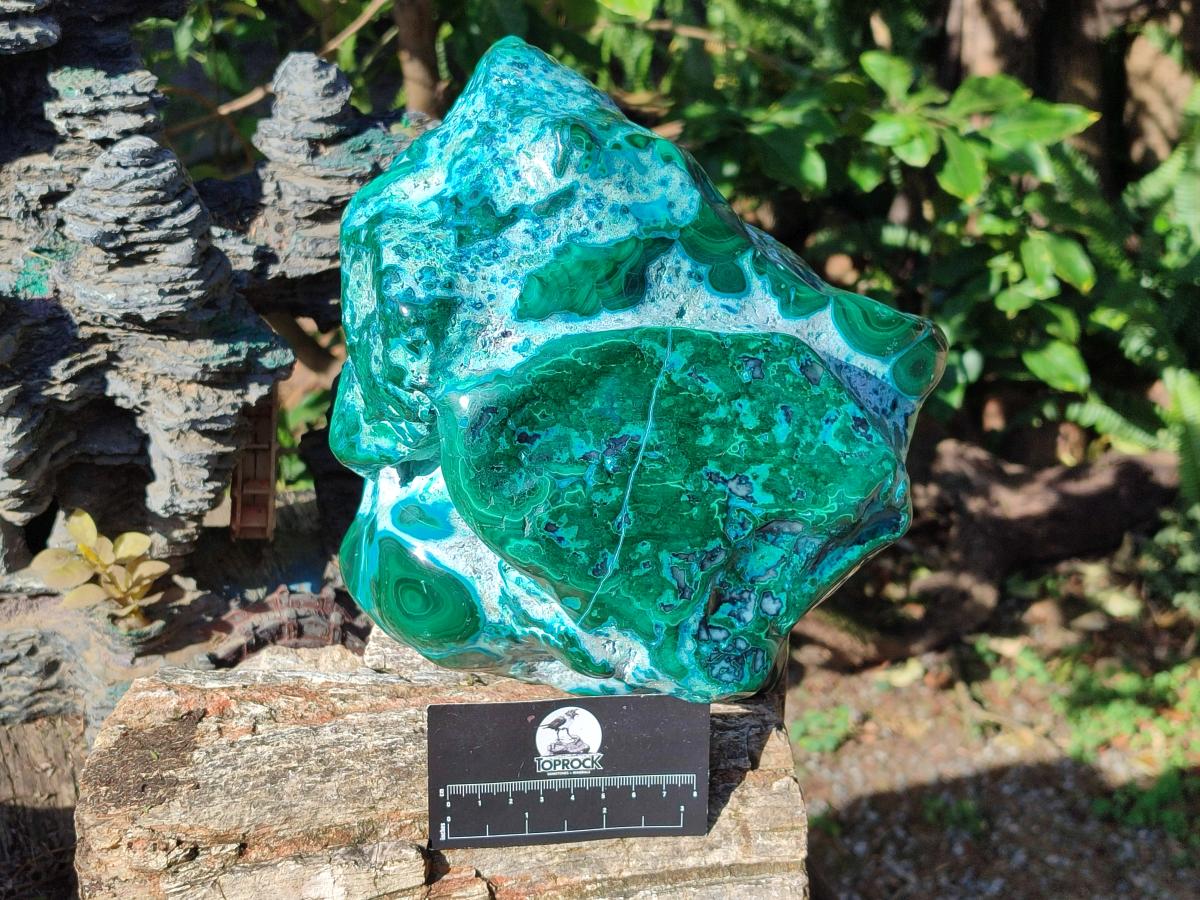 Polished XL Malacolla Free Form x 1 From Kulukuluku, Congo - Toprock Gemstones and Minerals 