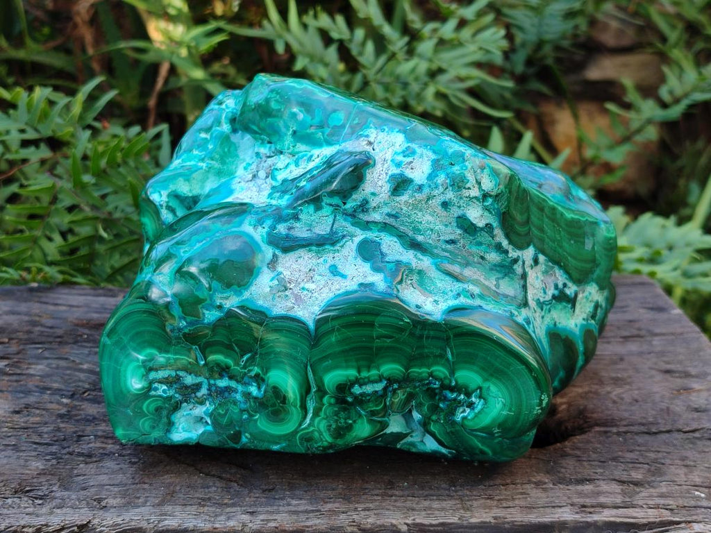 Polished XL Malacolla Free Form x 1 From Kulukuluku, Congo - Toprock Gemstones and Minerals 