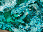 Polished XL Malacolla Free Form x 1 From Kulukuluku, Congo - Toprock Gemstones and Minerals 