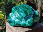 Polished XL Malacolla Free Form x 1 From Kulukuluku, Congo - Toprock Gemstones and Minerals 