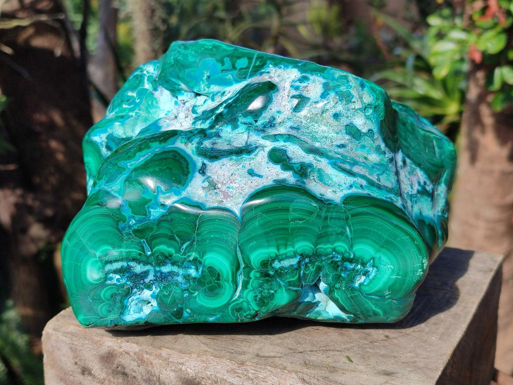 Polished XL Malacolla Free Form x 1 From Kulukuluku, Congo - Toprock Gemstones and Minerals 