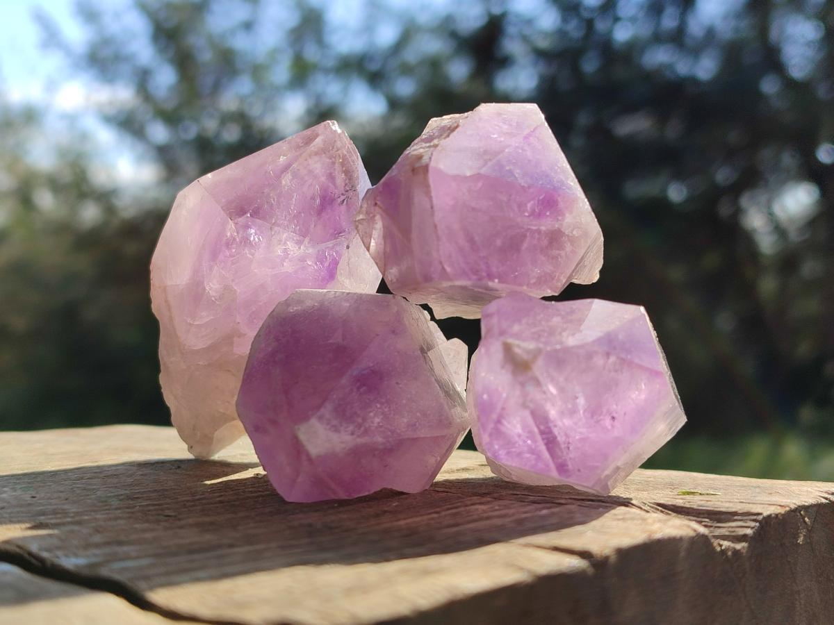Natural Jacaranda Amethyst Single Crystals x 24 From Mumbwa, Zambia - Toprock Gemstones and Minerals 