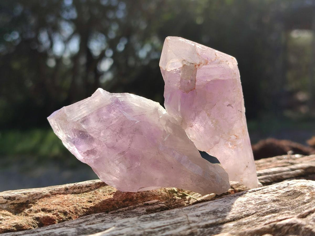 Natural Jacaranda Amethyst Single Crystals x 24 From Mumbwa, Zambia - Toprock Gemstones and Minerals 