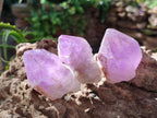 Natural Jacaranda Amethyst Single Crystals x 24 From Mumbwa, Zambia - Toprock Gemstones and Minerals 