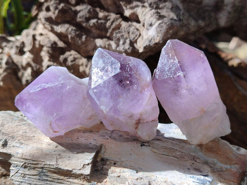 Natural Jacaranda Amethyst Single Crystals x 24 From Mumbwa, Zambia - Toprock Gemstones and Minerals 