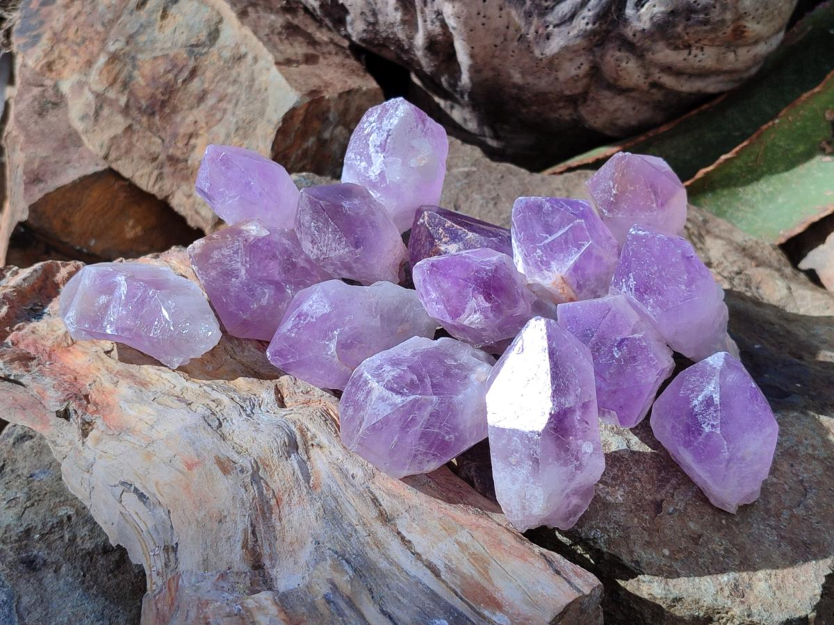 Natural Jacaranda Amethyst Single Crystals x 24 From Mumbwa, Zambia - Toprock Gemstones and Minerals 