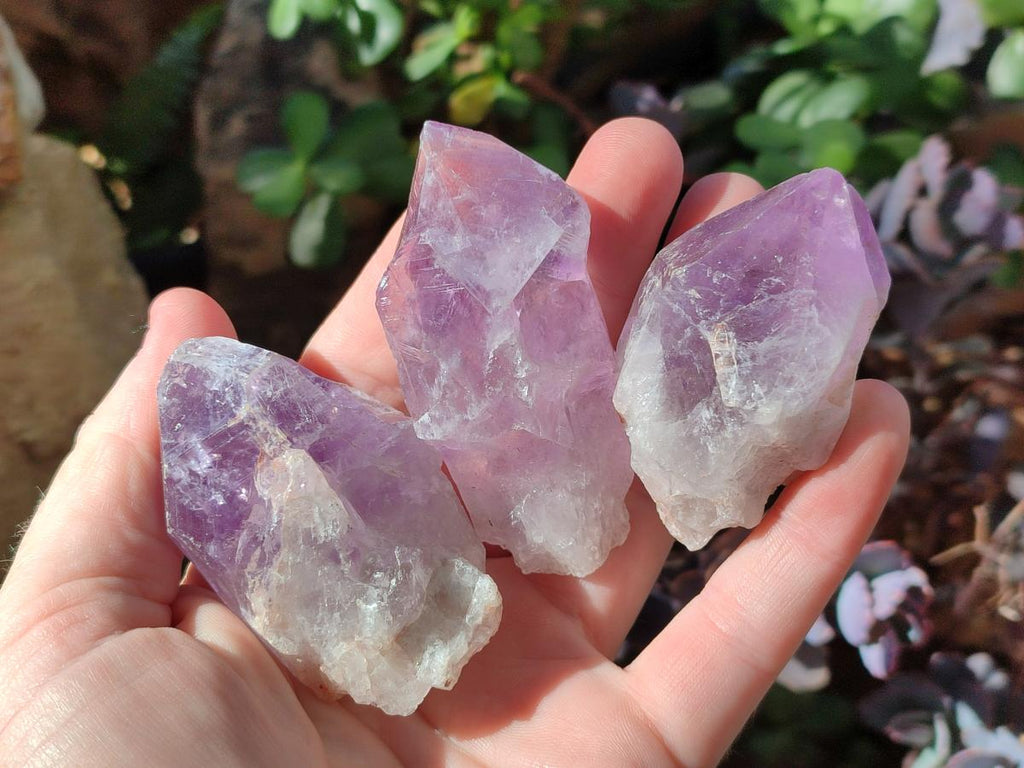 Natural Jacaranda Amethyst Single Crystals x 24 From Mumbwa, Zambia - Toprock Gemstones and Minerals 