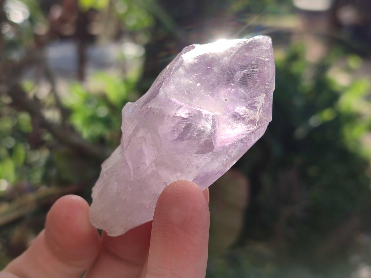 Natural Jacaranda Amethyst Single Crystals x 24 From Mumbwa, Zambia - Toprock Gemstones and Minerals 
