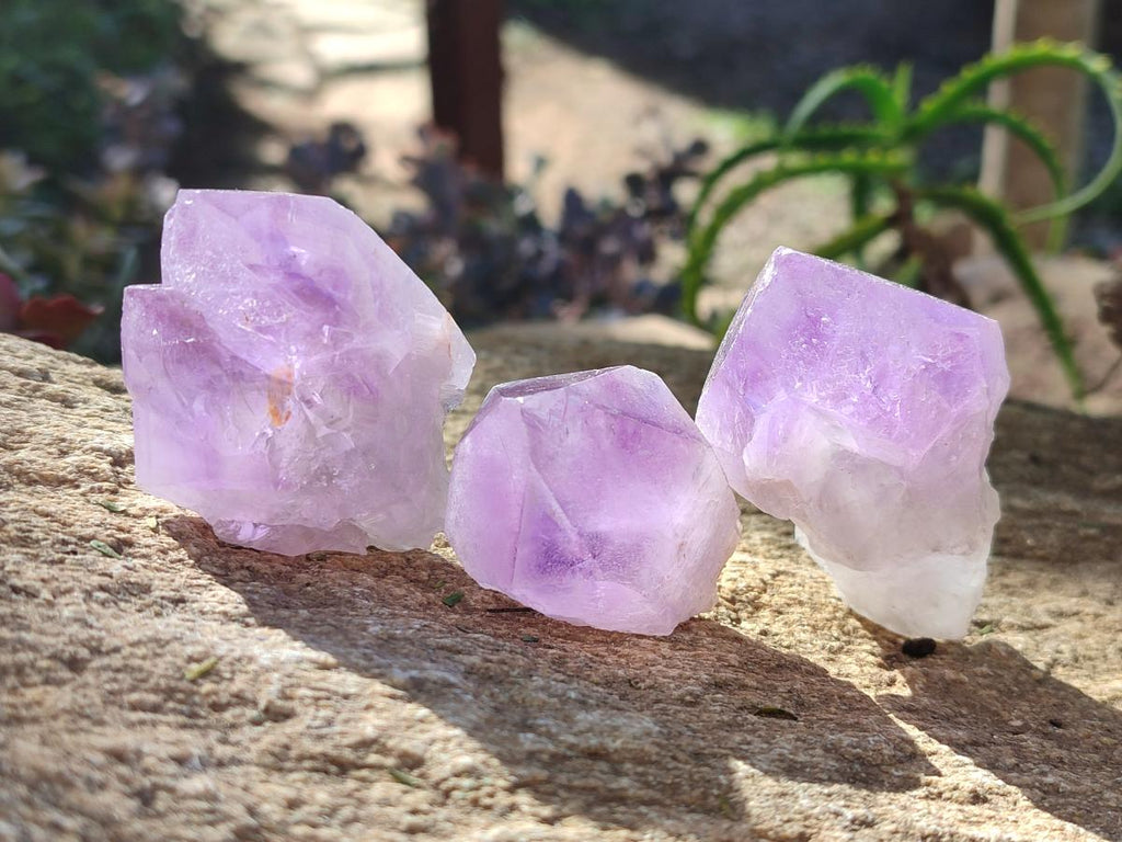 Natural Jacaranda Amethyst Single Crystals x 24 From Mumbwa, Zambia - Toprock Gemstones and Minerals 