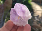 Natural Jacaranda Amethyst Single Crystals x 24 From Mumbwa, Zambia - Toprock Gemstones and Minerals 