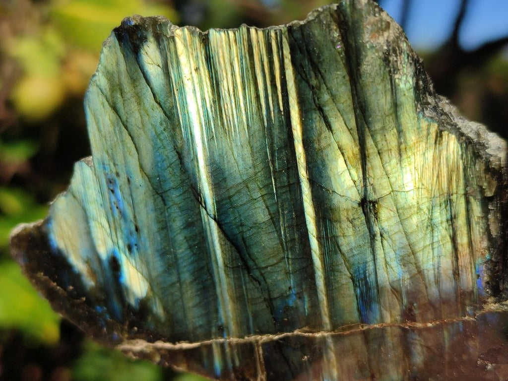 Polished One Side Labradorite Slices x 6 From Madagascar - Toprock Gemstones and Minerals 