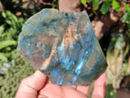 Polished One Side Labradorite Slices x 6 From Madagascar - Toprock Gemstones and Minerals 