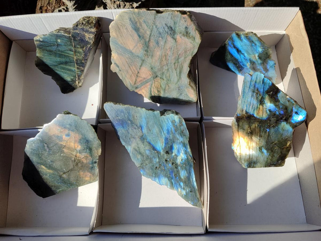 Polished One Side Labradorite Slices x 6 From Madagascar - Toprock Gemstones and Minerals 