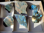 Polished One Side Labradorite Slices x 6 From Madagascar - Toprock Gemstones and Minerals 
