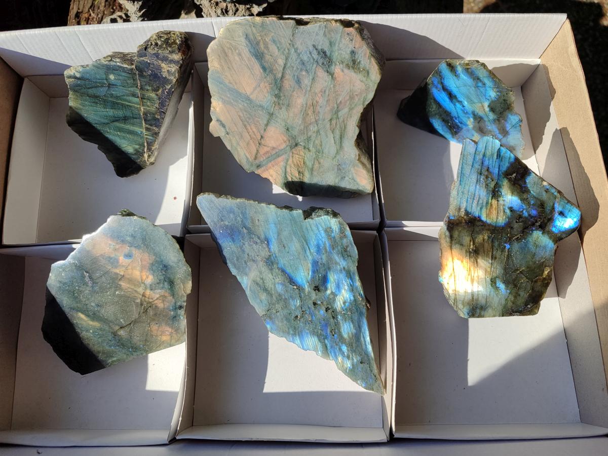 Polished One Side Labradorite Slices x 6 From Madagascar - Toprock Gemstones and Minerals 