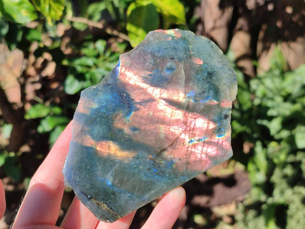Polished One Side Labradorite Slices x 6 From Madagascar - Toprock Gemstones and Minerals 