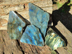 Polished One Side Labradorite Slices x 6 From Madagascar - Toprock Gemstones and Minerals 
