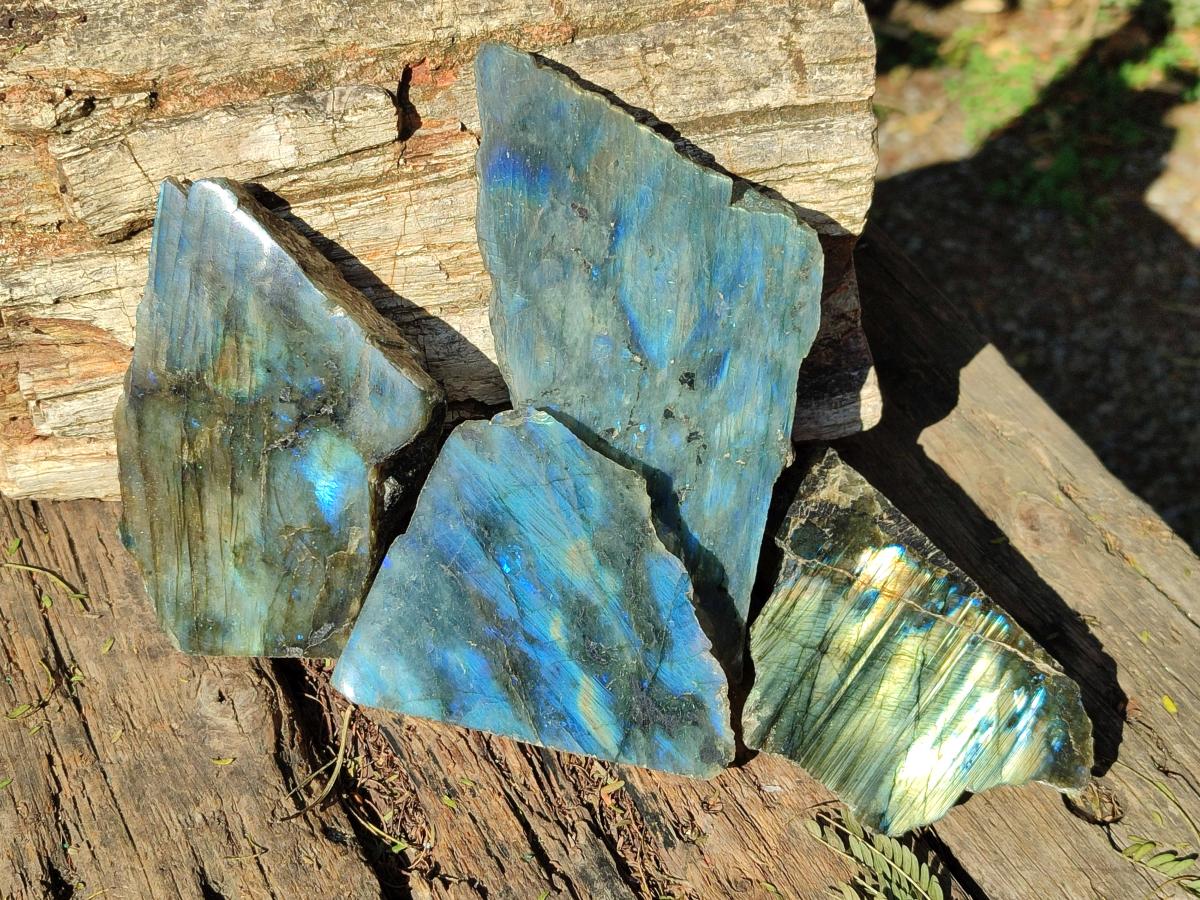 Polished One Side Labradorite Slices x 6 From Madagascar - Toprock Gemstones and Minerals 