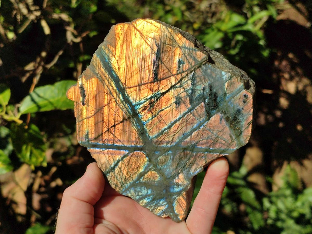 Polished One Side Labradorite Slices x 6 From Madagascar - Toprock Gemstones and Minerals 
