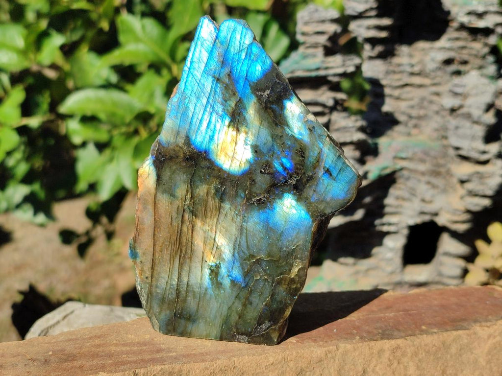 Polished One Side Labradorite Slices x 6 From Madagascar - Toprock Gemstones and Minerals 