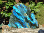 Polished One Side Labradorite Slices x 6 From Madagascar - Toprock Gemstones and Minerals 