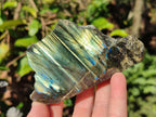 Polished One Side Labradorite Slices x 6 From Madagascar - Toprock Gemstones and Minerals 