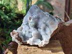 Natural Large Drusy Coated Botryoidal Quartz on Copper Dolomite with Malachite Specimen x 1 From Mindingi Mine, Congo - Toprock Gemstones and Minerals 