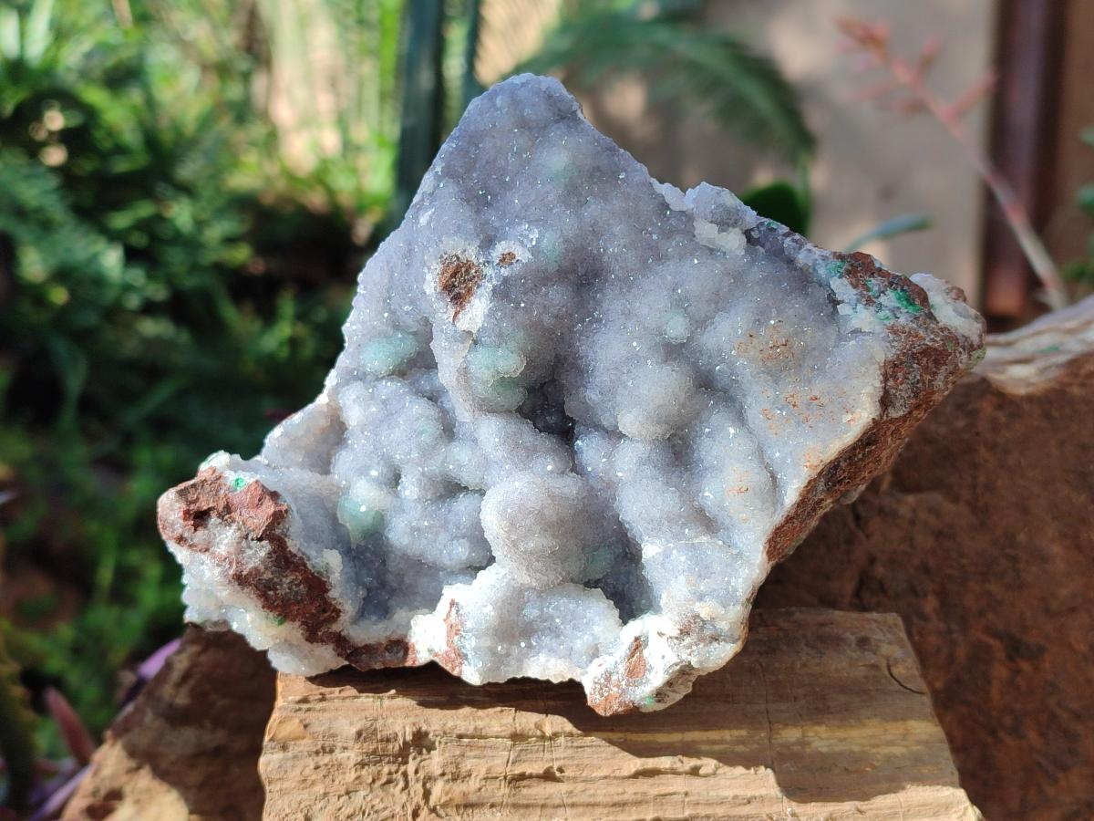 Natural Large Drusy Coated Botryoidal Quartz on Copper Dolomite with Malachite Specimen x 1 From Mindingi Mine, Congo - Toprock Gemstones and Minerals 