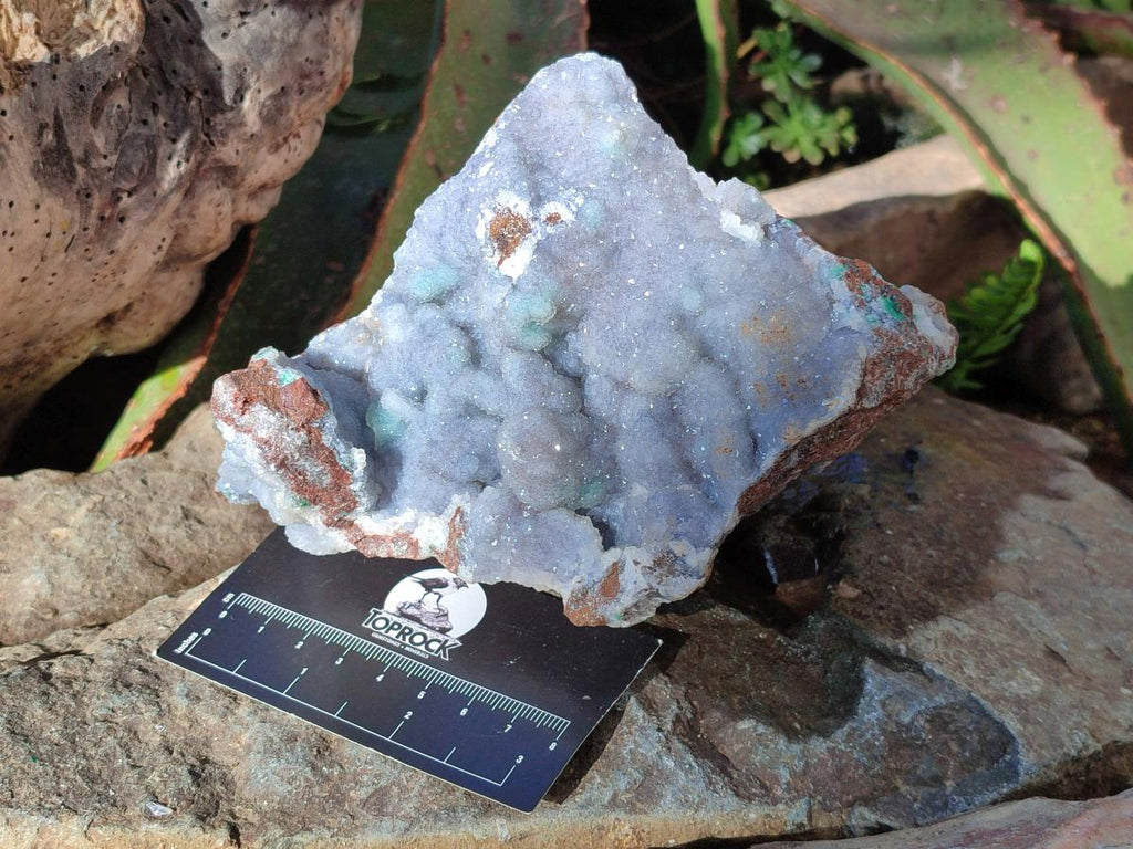 Natural Large Drusy Coated Botryoidal Quartz on Copper Dolomite with Malachite Specimen x 1 From Mindingi Mine, Congo - Toprock Gemstones and Minerals 