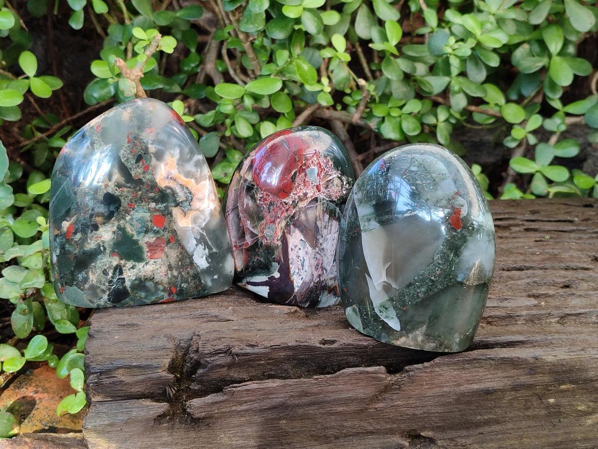Polished Bloodstone Standing Display Pieces x 3 From Swaziland - Toprock Gemstones and Minerals 