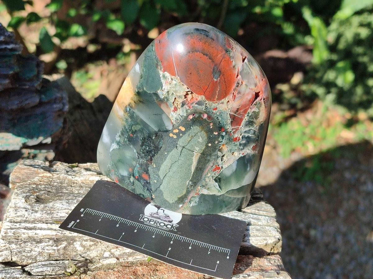 Polished Bloodstone Standing Display Pieces x 3 From Swaziland - Toprock Gemstones and Minerals 