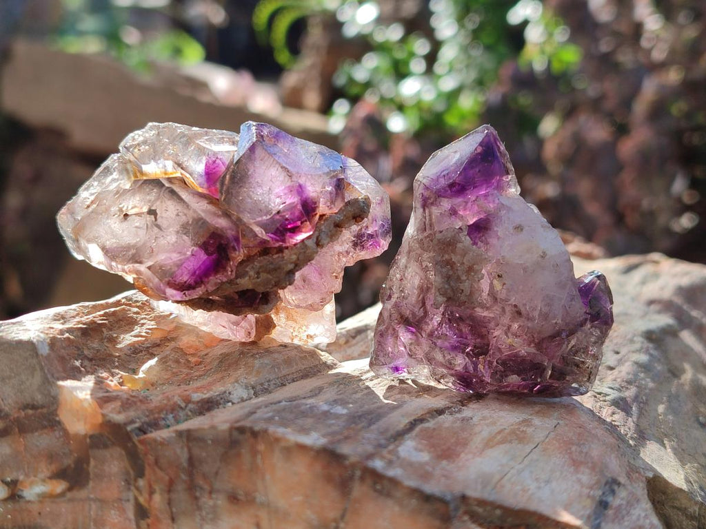Natural Window Amethyst Crystals x 20 From Chiredzi, Zimbabwe - Toprock Gemstones and Minerals 