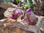 Natural Window Amethyst Crystals x 20 From Chiredzi, Zimbabwe - Toprock Gemstones and Minerals 