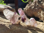 Natural Window Amethyst Crystals x 20 From Chiredzi, Zimbabwe - Toprock Gemstones and Minerals 