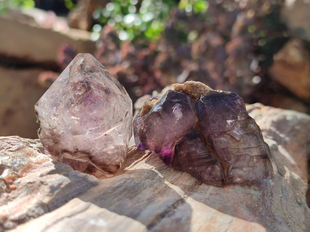 Natural Window Amethyst Crystals x 20 From Chiredzi, Zimbabwe - Toprock Gemstones and Minerals 