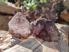 Natural Window Amethyst Crystals x 20 From Chiredzi, Zimbabwe - Toprock Gemstones and Minerals 