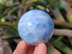 Polished Blue Calcite Spheres x 6 From Madagascar - Toprock Gemstones and Minerals 