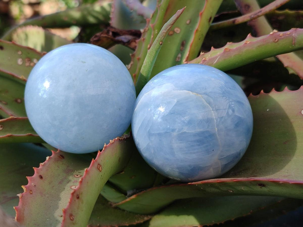 Polished Blue Calcite Spheres x 6 From Madagascar - Toprock Gemstones and Minerals 
